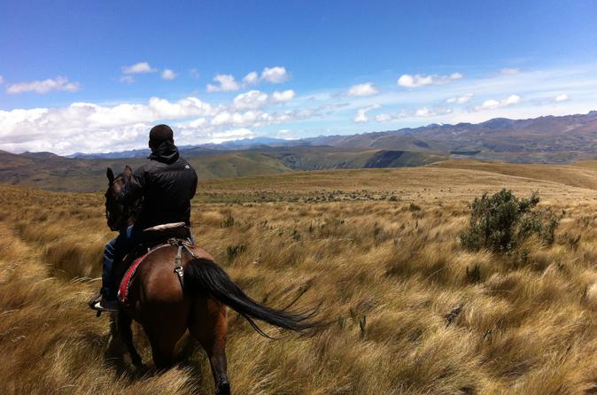 horseback-riding-at-cayambe-volcano-from-quito-in-quito-239880