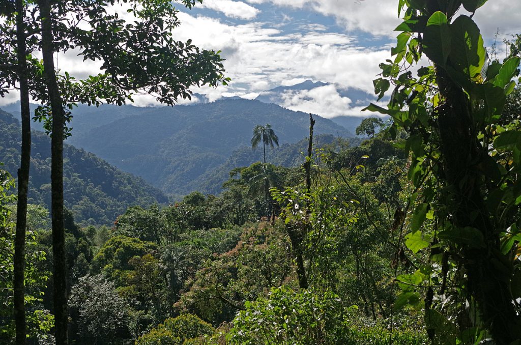 casadivinalodge_cloudforestview_0245_09262016_1200x795_90