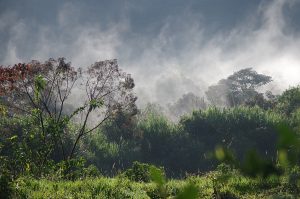 casadivinalodge_morningwalk_0211_09262016_1200x795_90