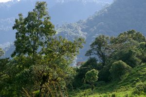 casadivinalodge_morningwalk_0226_09262016_1200x795_90