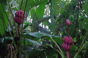casadivinalodge_nativevegetation_0197_09262016_1200x795_90