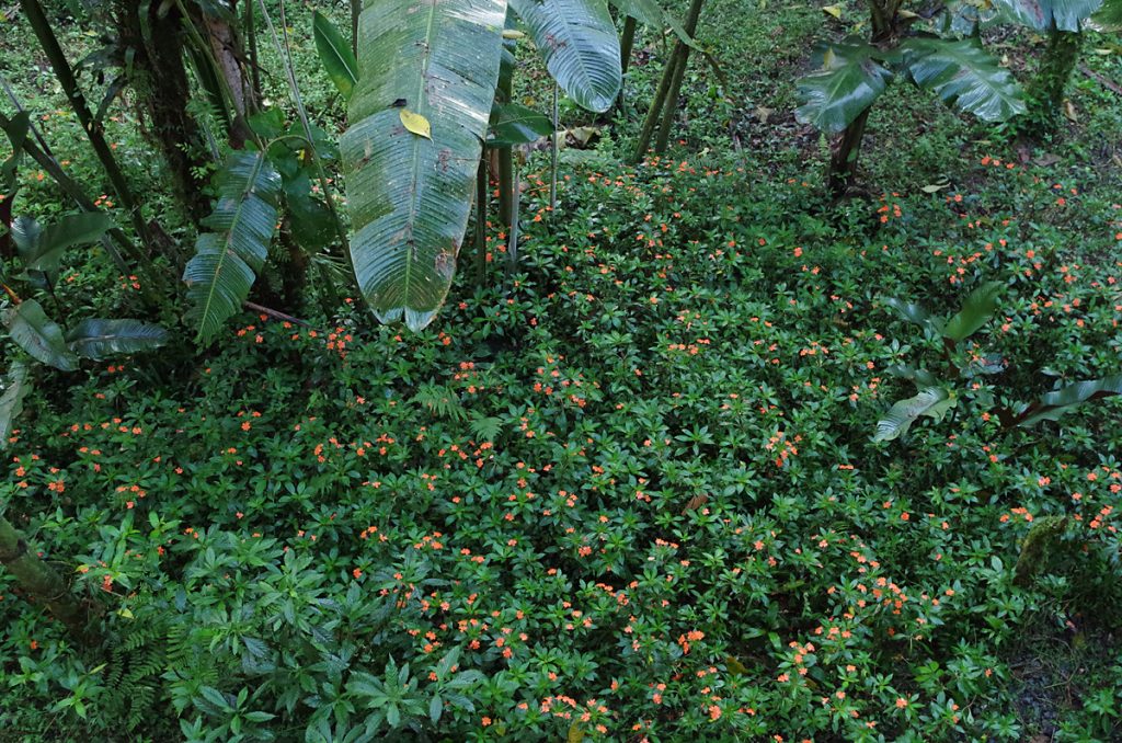 casadivinalodge_view-from-room_0430_09272016_1200x795_90