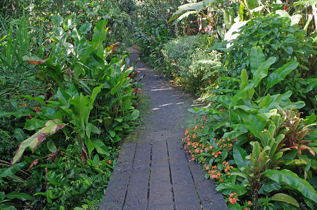 casadivinalodge_walkway_0451_09272016_1200x795_90