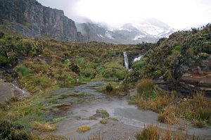 cayambe_alpinebog_0557_09282016_1200x795_90