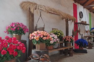 roseshowroom_0495_09282016_1200x795_90