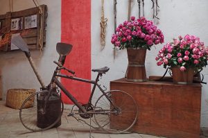 roseshowroom_0500_09282016_1200x795_90