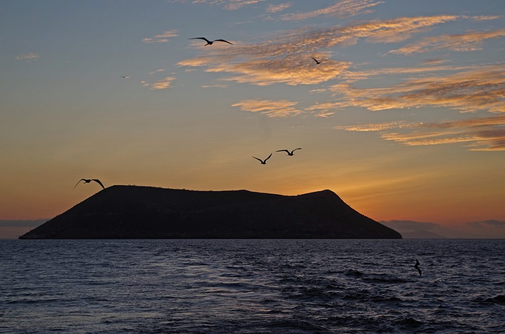 firstsunset_0748_10012016_1200x795_90