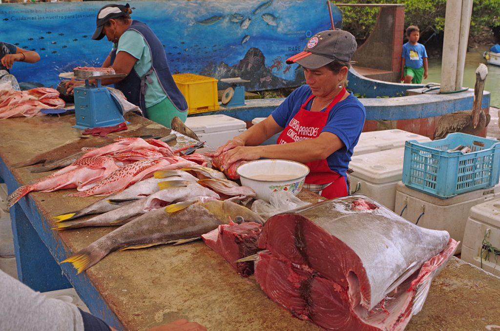 fishmarket_santacruz_2056_10072016_1200x795_90