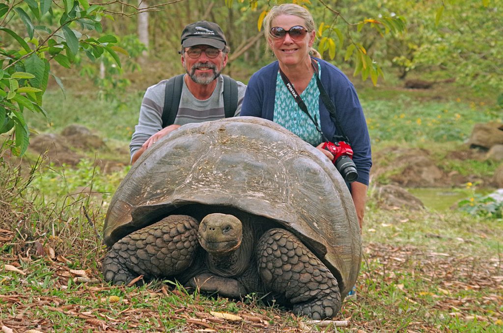 gianttortoise_2113_10072016_1200x795_90