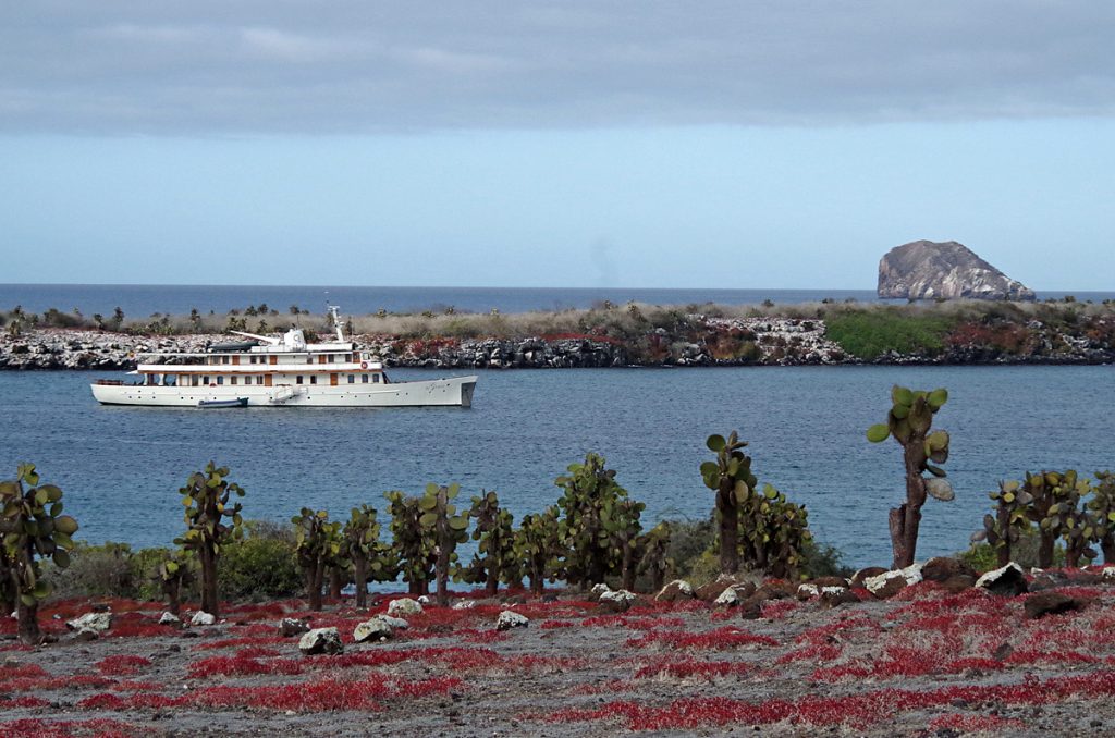 grace-islandview_0942_10022016_1200x795_90