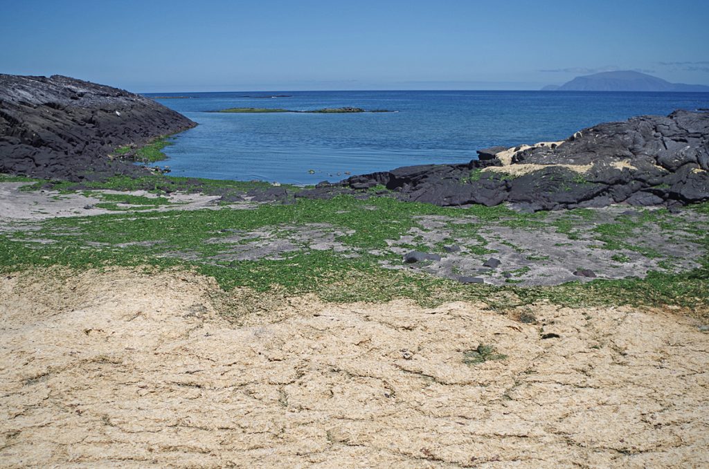 lavashoreline_1442_10042016_1200x795_90