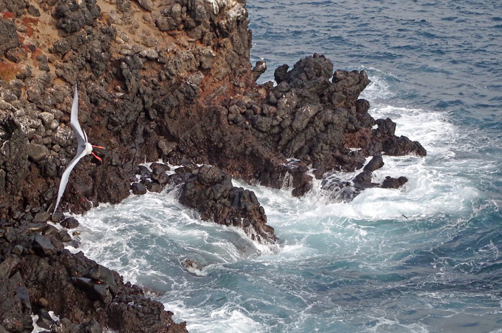 rockylanding_0955_10022016_1200x795_90