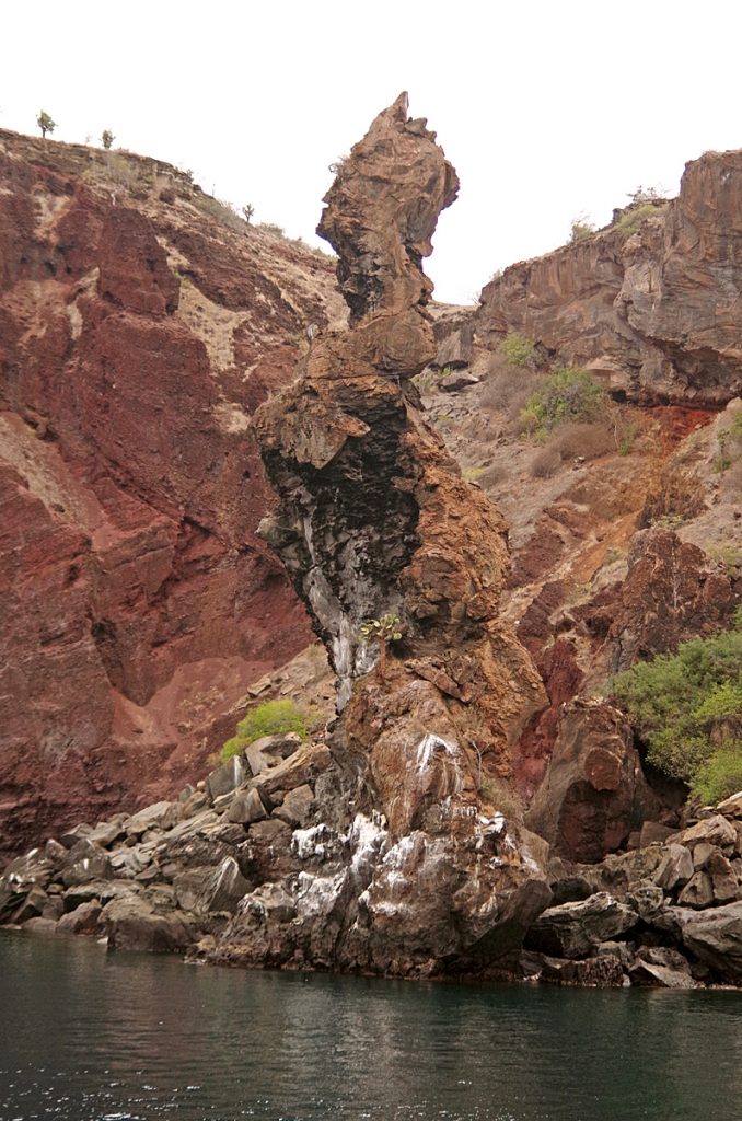 themonk_1866_10062016_795x1200_90