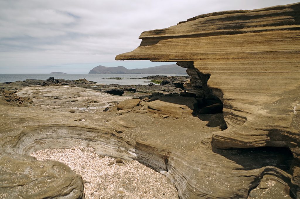 tidalbasin_1916_10062016_1200x795_90