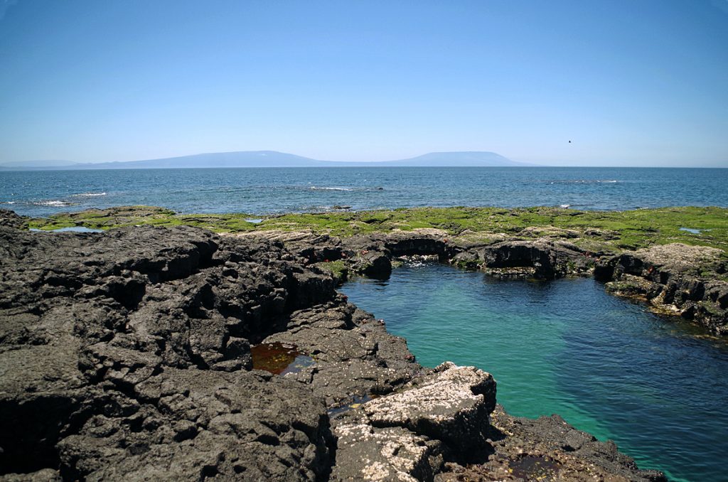 tidalpool_1994_10062016_1200x795_90