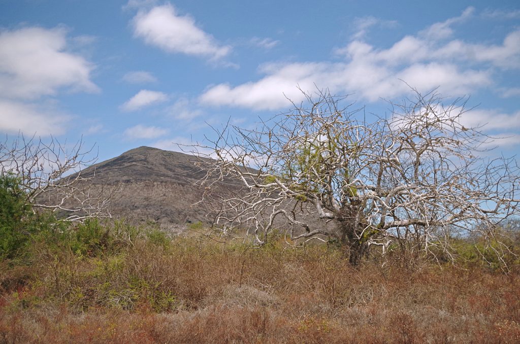 trailview_1911_10062016_1200x795_90