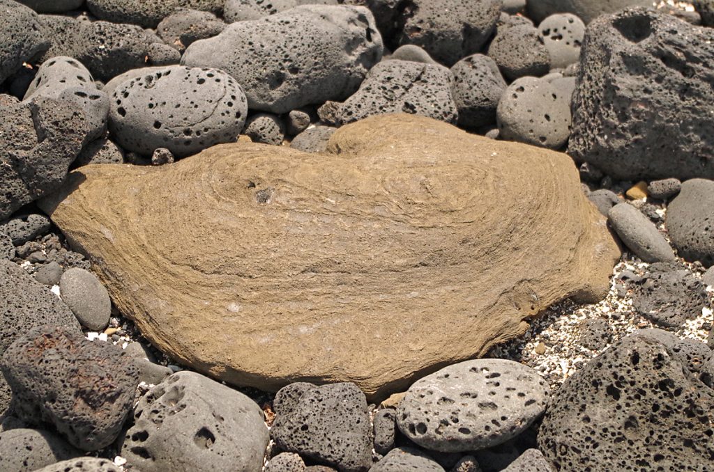 volcanicrocks_1929_10062016_1200x795_90