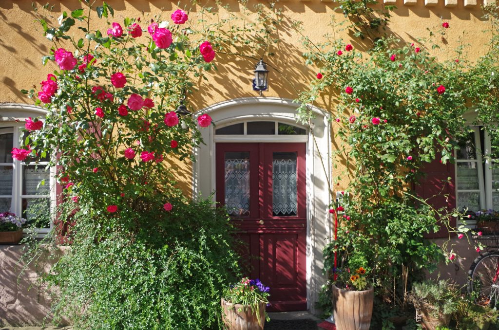 Doorway along walking tour of the Old City, Bamberg