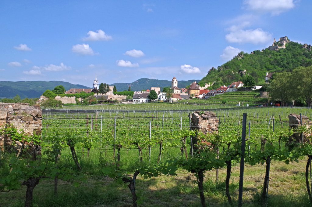 The Domane Wachau Vineyards, with the town of Dürnstein in the background