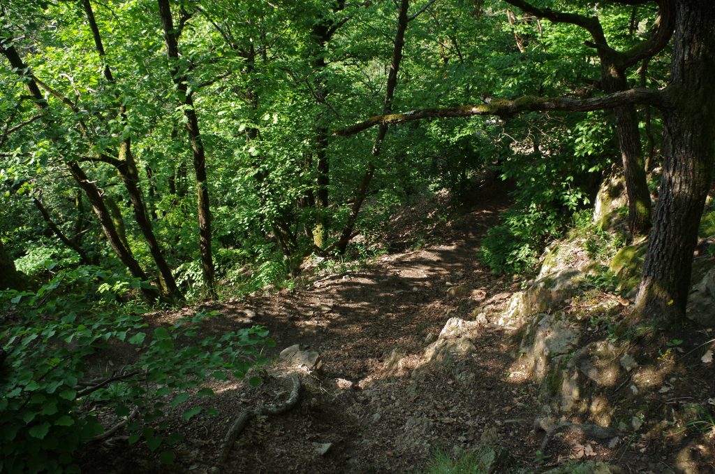 More hiking, with only the sound of songbirds