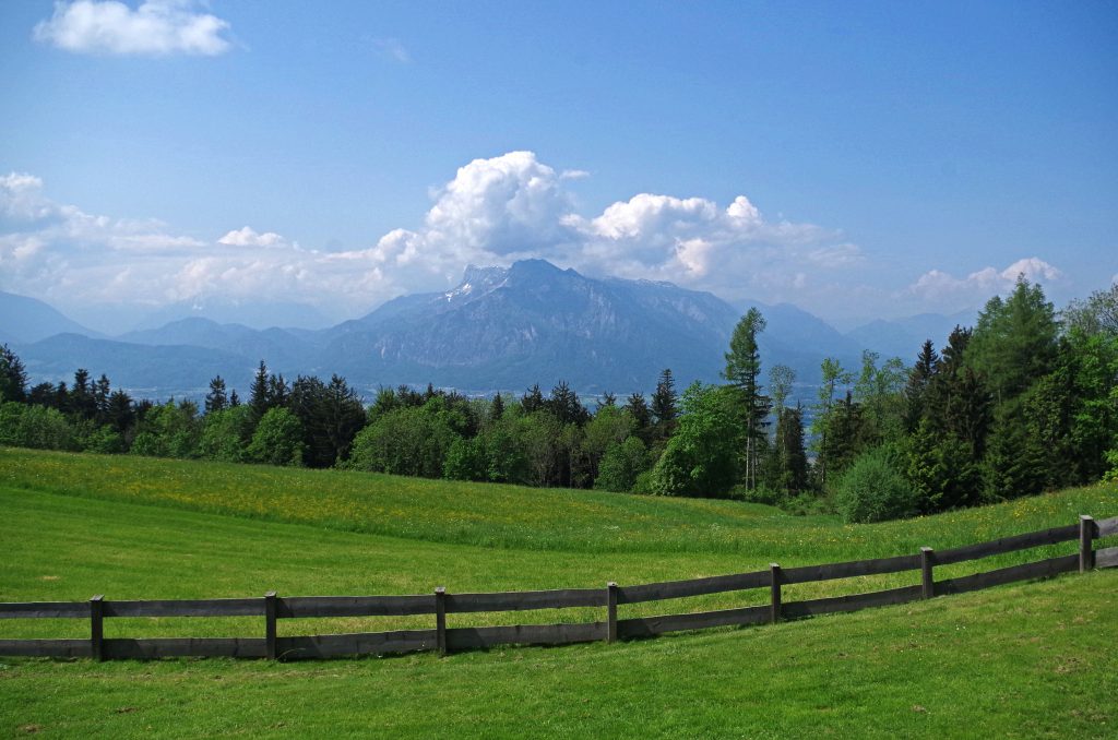 Another view from our lunchtime retreat in Salzburg