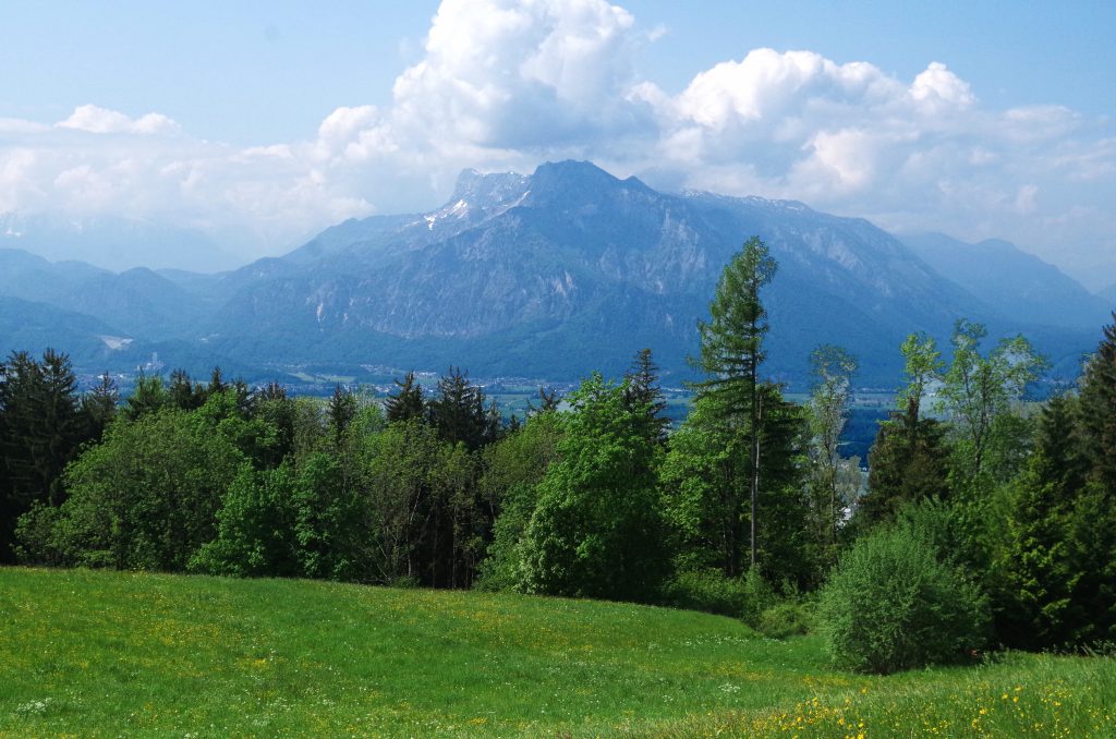 Yet another view from our lunchtime retreat in Salzburg