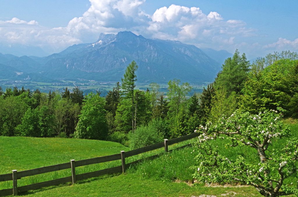 The view from our lunchtime retreat in Salzburg