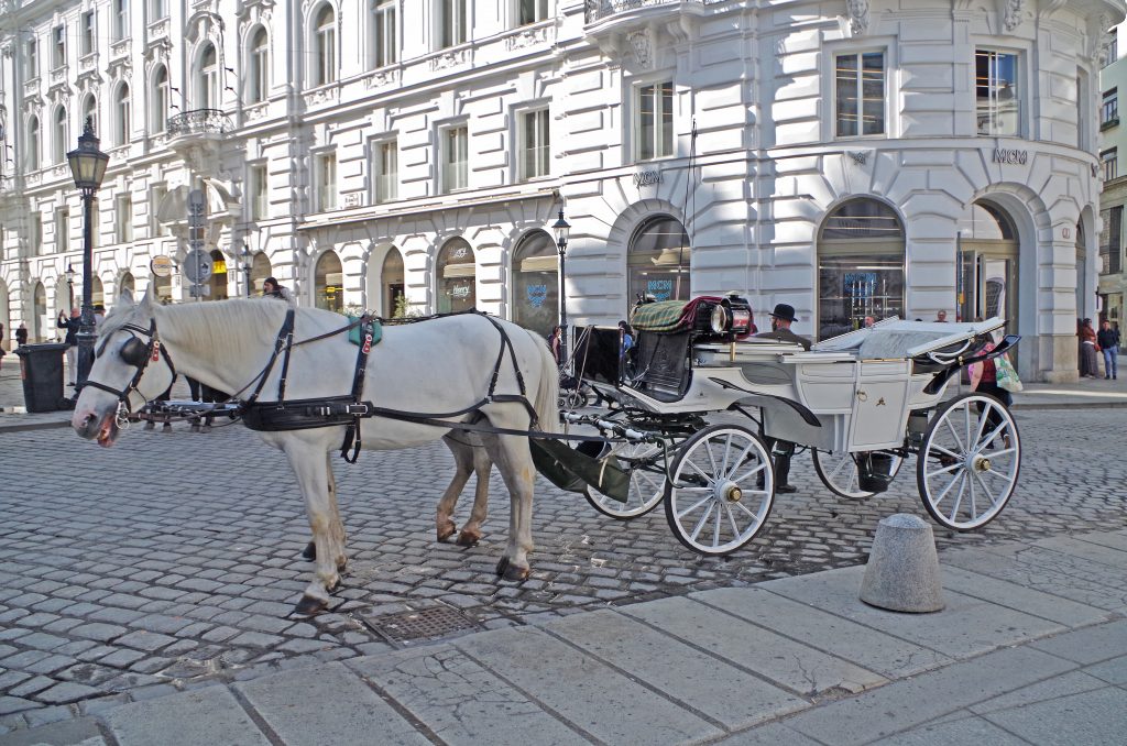 Our carriage in the Old City of Vienna