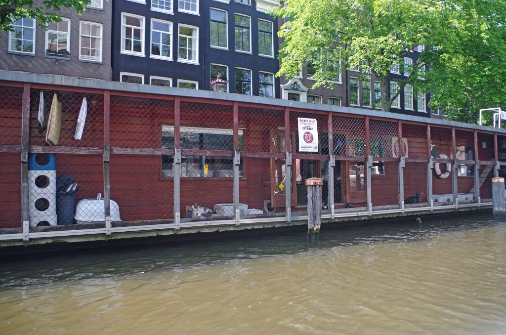 CatBoat (cat rescue boat) along a canal, Amsterdam