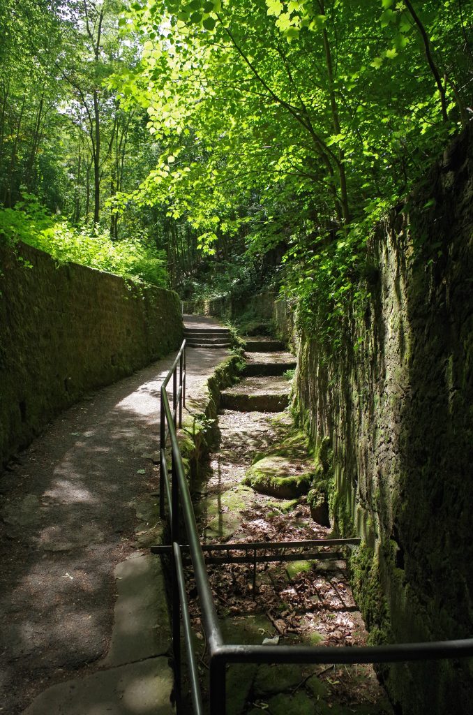 Walking trail in downtown Miltenberg