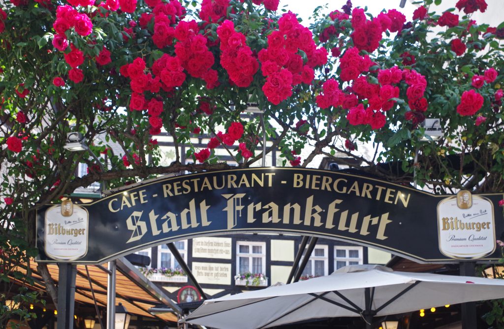 A biergarten in Rüdesheim
