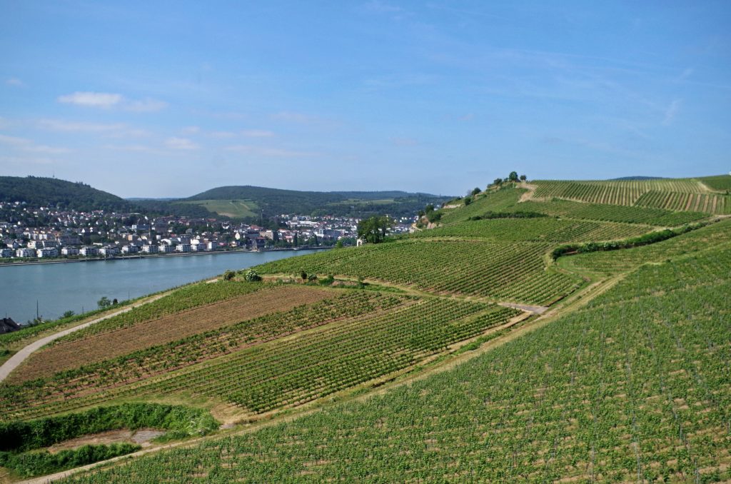 Gondola over the vineyards, Rüdesheim